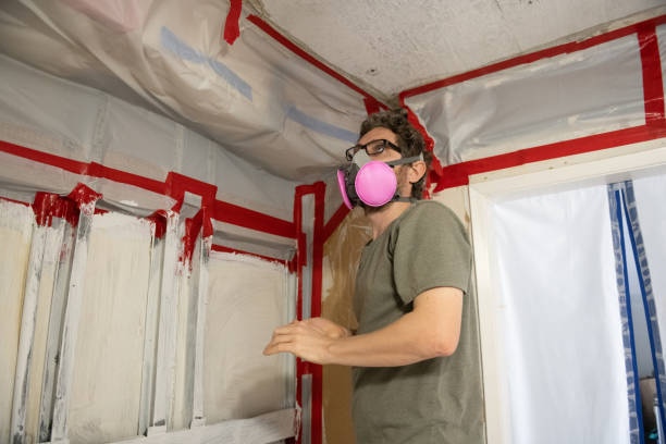 Best Air Quality Testing for Mold Spores  in Morgantown, PA