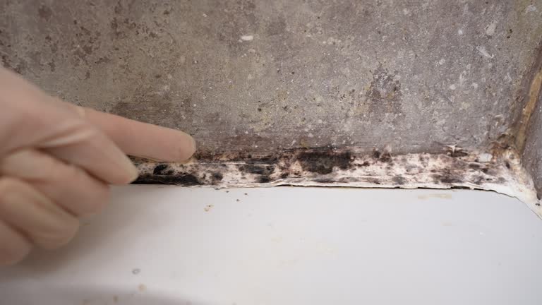 Best Industrial Mold Remediation  in Morgantown, PA